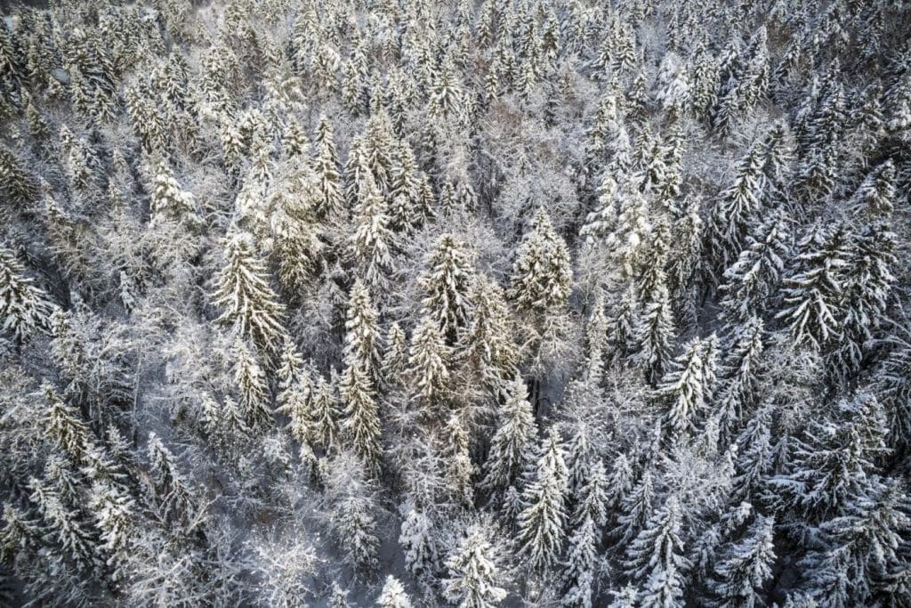 fromentin-julien-drone-dji-air2s-foret-moscou-hiver-russie
