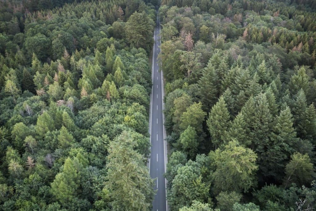 fromentin-julien-drone-dji-air2s-foret-route-harz-allemagne