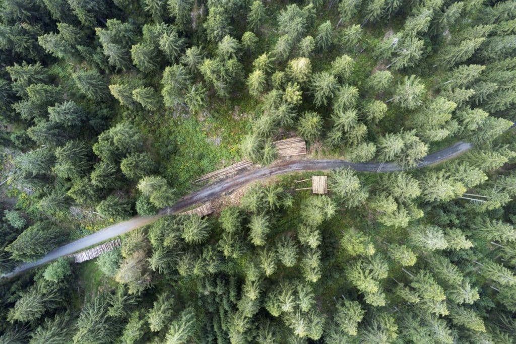 fromentin-julien-drone-dji-air2s-foret-harz-allemagne