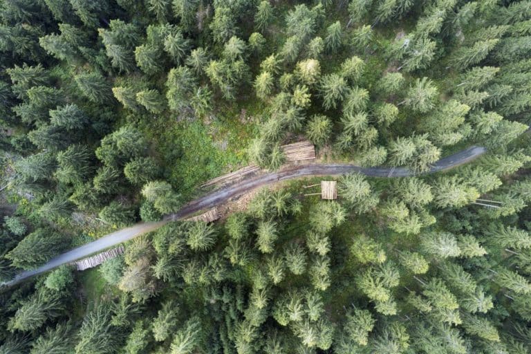 fromentin julien photographie galerie drone dji air2s foret harz allemagne foret bois
